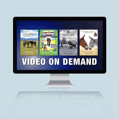 Video On Demand