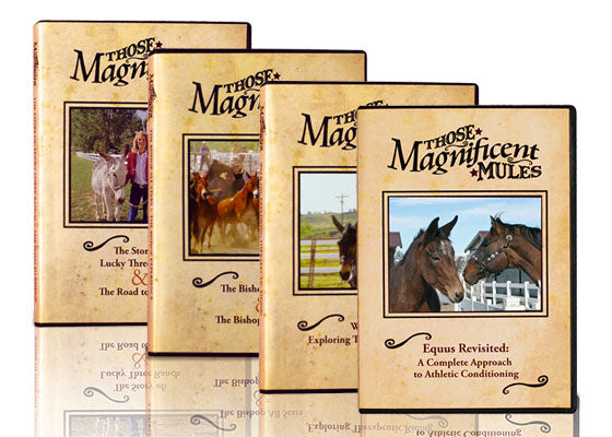 Those Magnificent Mules Documentaries 50% OFF!