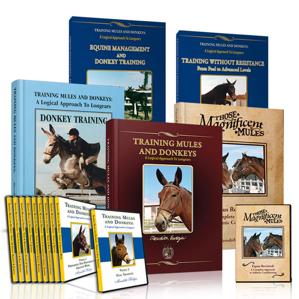 Donkey Complete Training Package 50% OFF!