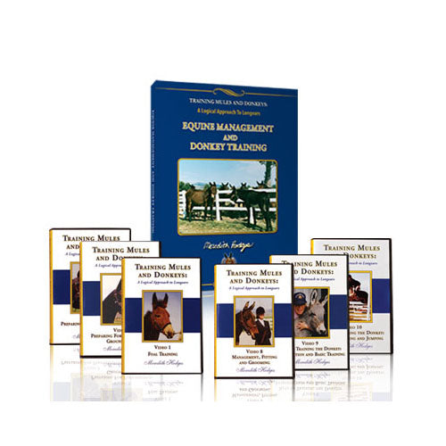 Donkey Basic Training Package 50% OFF!