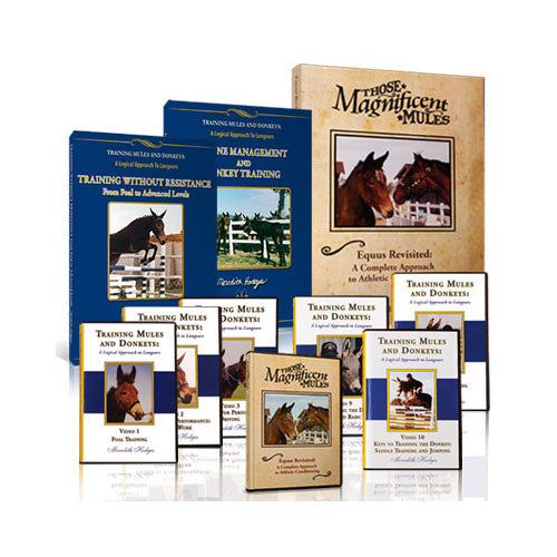 Donkey Foundation Training Package 50% OFF!