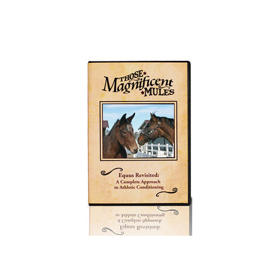Equus Revisited (DVD) 50% OFF!