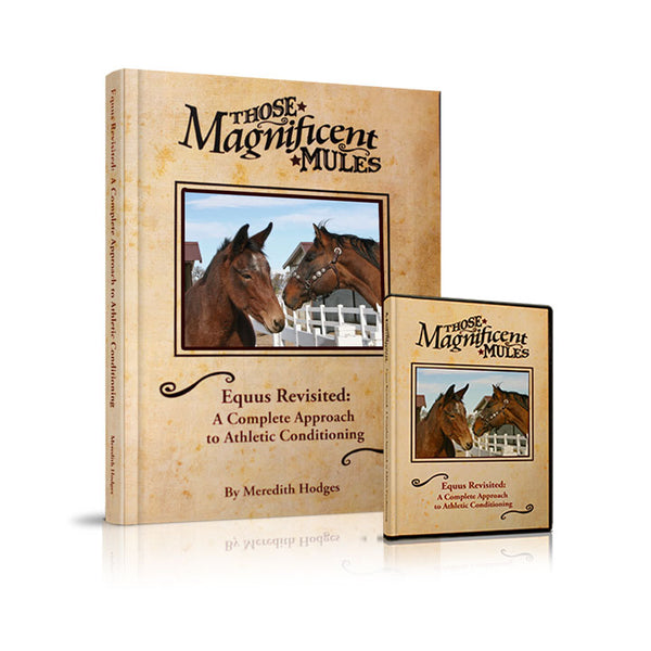 Equus Revisited Book & DVD Combo 50% OFF!