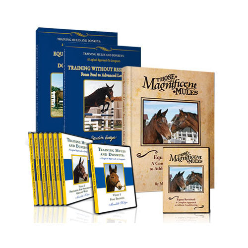 Horse & Mule Foundation Training Package 50% OFF!