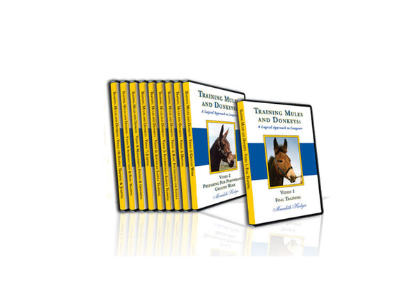 Complete TMD DVD Training Set