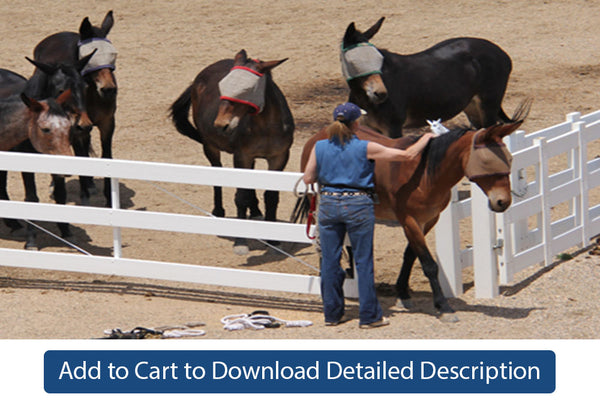 Training Tip - #022 Gate Training