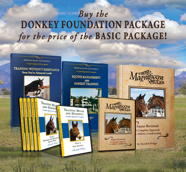 SEPTEMBER SALE! Donkey Foundation Training Package