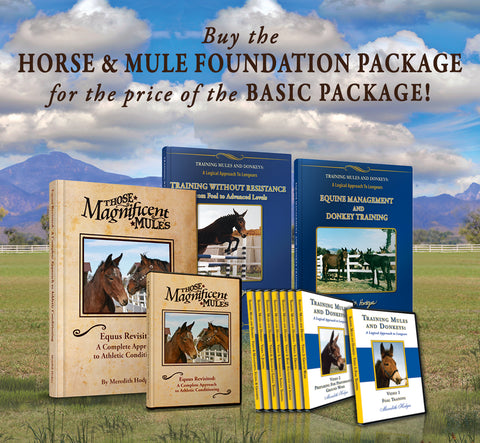 SEPTEMBER SALE! Horse and Mule Foundation Training Package