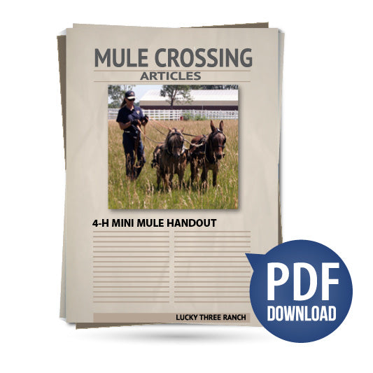4-H Mini Mule Handout