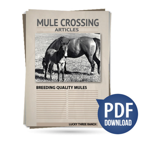 Breeding Quality Mules