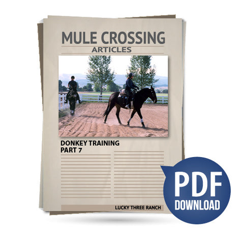 Donkey Training Part 07 - Arena Riding