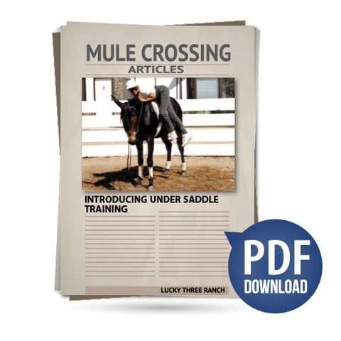 Introducing Under Saddle Training