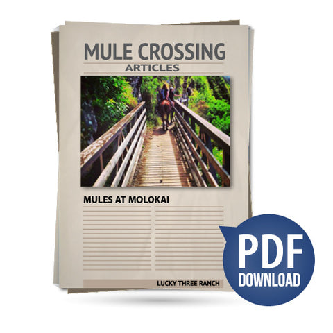 Mules at Molokai