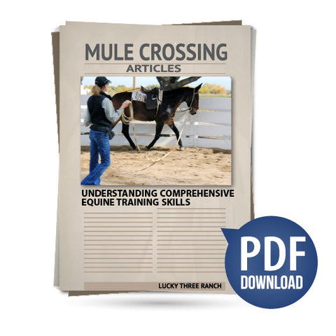 Understanding Comprehensive Equine Training Skills