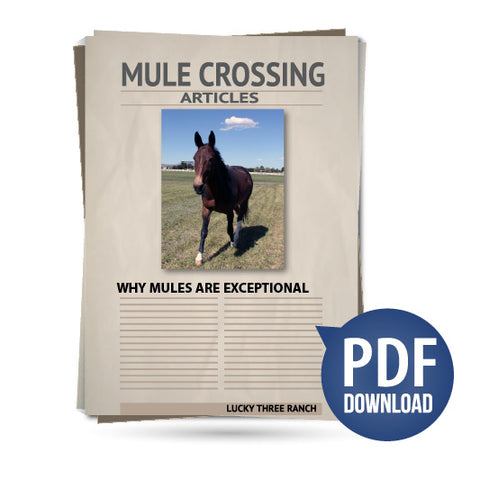 Why Mules Are Exceptional