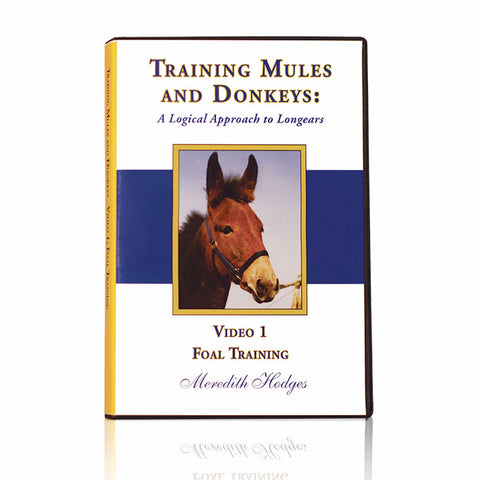 TMD DVD #1 - Foal Training