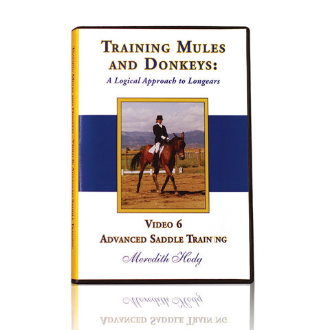 TMD DVD #6 - Advanced Saddle Training