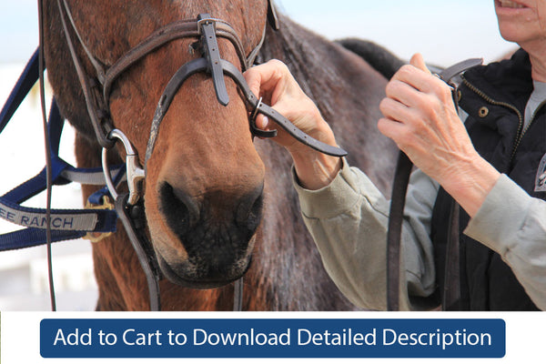 Training Tip - #051 Adjusting Tack and Equipment