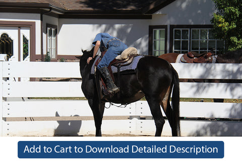 Training Tip - #069 Begin Riding With an Assistant In The Round Pen