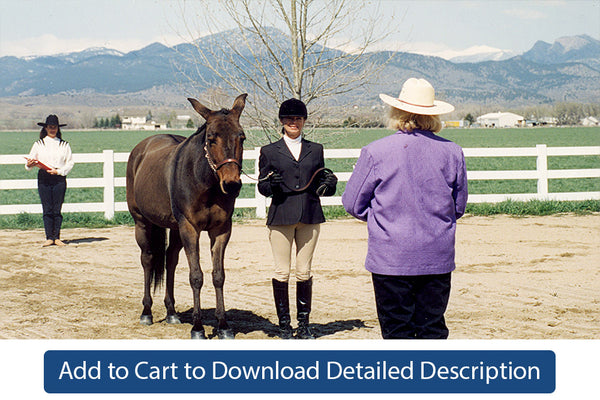 Training Tip - #039 Showmanship Patterns