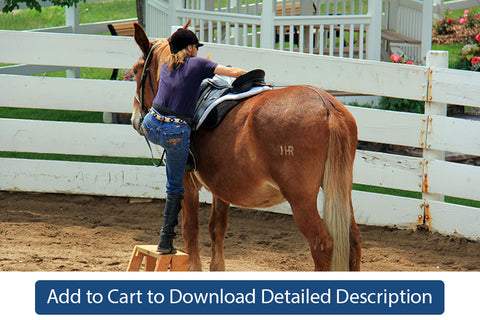 Training Tip - #070 Teaching Your Equine to Stand Still During Mounting