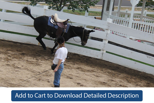 Training Tip - #071 Dealing With Bucking