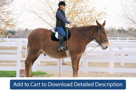 Training Tip - #082 Good Equitation