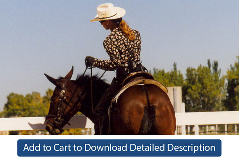 Training Tip - #096 Rollbacks Under Saddle