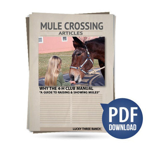 Why the 4-H Club Manual "A Guide to Raising & Showing Mules"